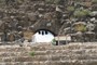 amphitheater 