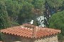 gaviota
