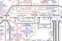 Pyruvate Processing