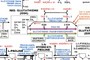 Glutathione