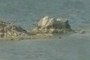 Piedras en la albufera