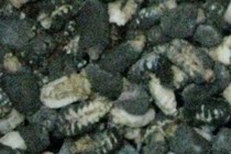 86470-210x140