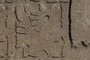 Attendant profile figure