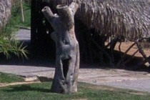 86583-210x140