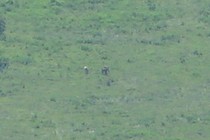 87347-210x140