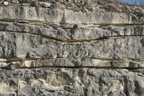 9855-210x140