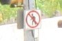 No Pedestrian Crossing