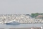 Big Cruiser