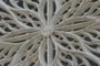 Rose Window