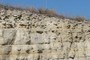 Soil Development