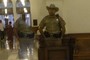 Capitol guard