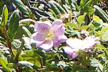 88374-210x140