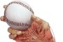 The grip