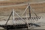 Cattle Grate