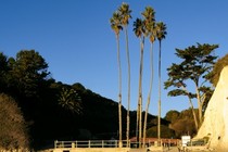 89574-210x140