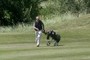 Golfer