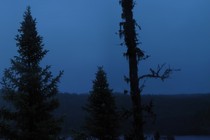 89502-210x140