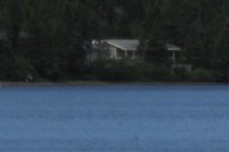 89508-210x140