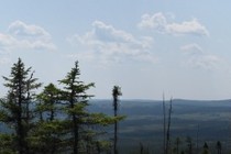 89535-210x140