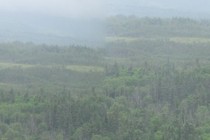 89520-210x140