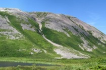 89528-210x140