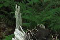89560-210x140