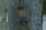 Hang On!