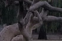 89615-210x140