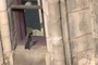 Mouse Shot