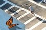Butterfly with overview on running person