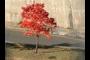 red nature