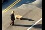 walking the dog
