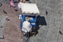 Selling bird seeds 