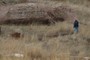 Man Walking Dog