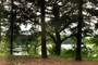 By the lake