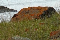 90543-210x140