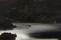 90529-210x140