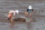 Kids playing in the mud