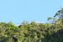 Kalalau Valley Lookout