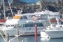 Whale watching boats