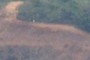 Someone walking the Canyon trail 