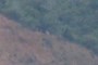 People Hiking