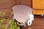 parabole Satellit