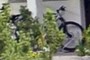 Un vélo
