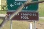 Pet Porpoise pool