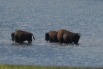 91550-210x140