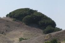 91740-210x140