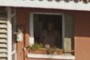 Man in the window