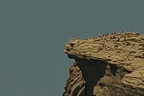 91893-210x140