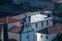 El Arbolón